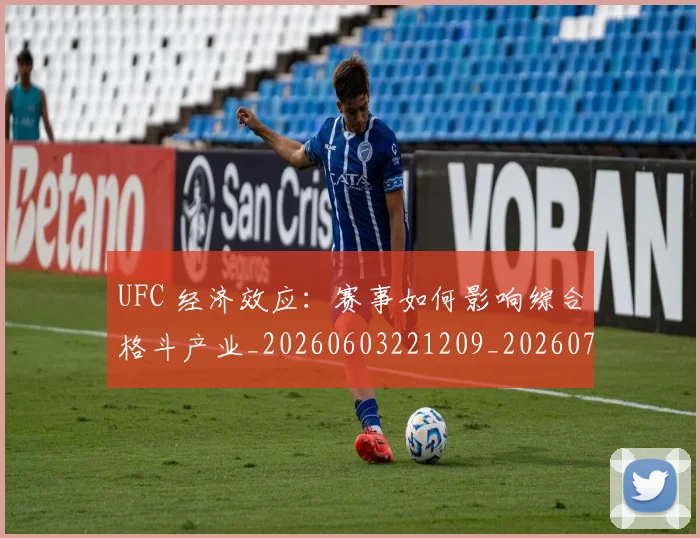 UFC 经济效应：赛事如何影响综合格斗产业_20260603221209_20260702195637