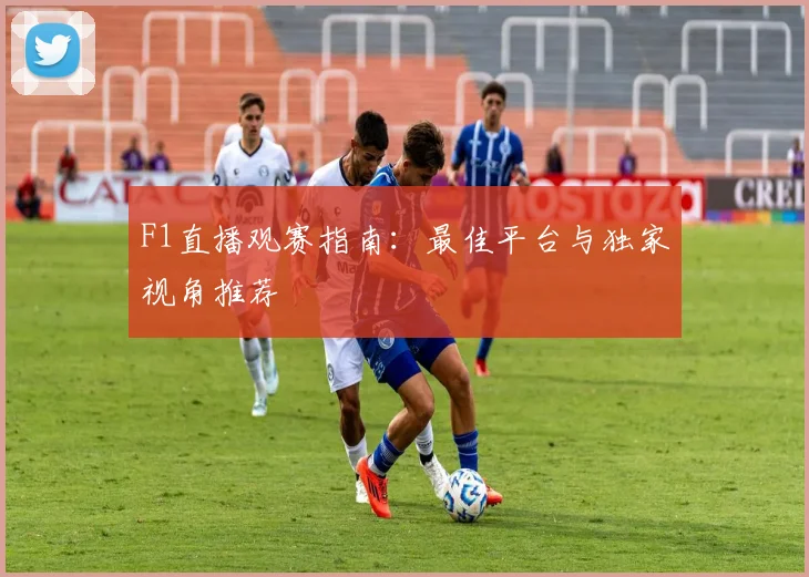 F1直播观赛指南：最佳平台与独家视角推荐